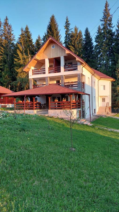 Pensiunea Madalina Durau Exterior foto
